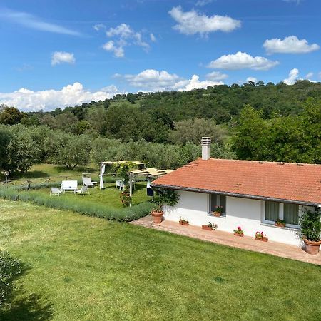 Tenuta Le Mandorlaie, Agriturismo In Scansano Eksteriør billede