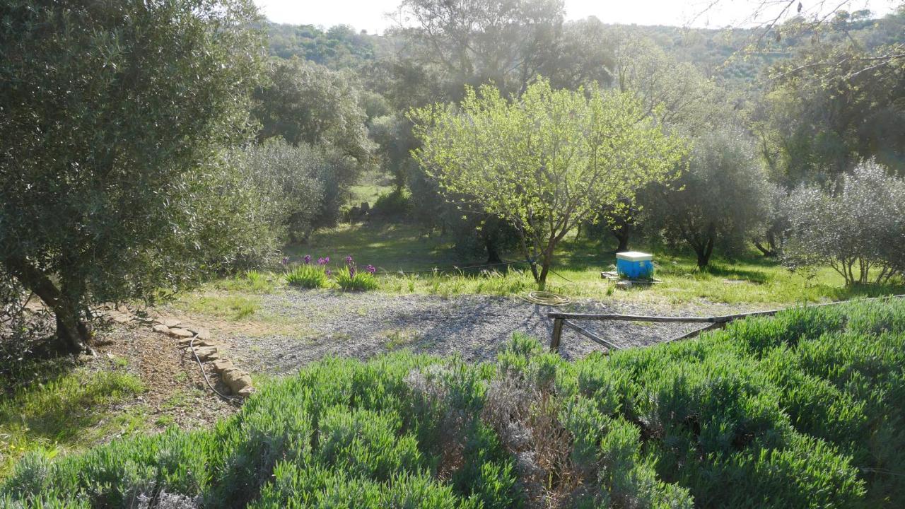 Tenuta Le Mandorlaie, Agriturismo In Scansano Eksteriør billede