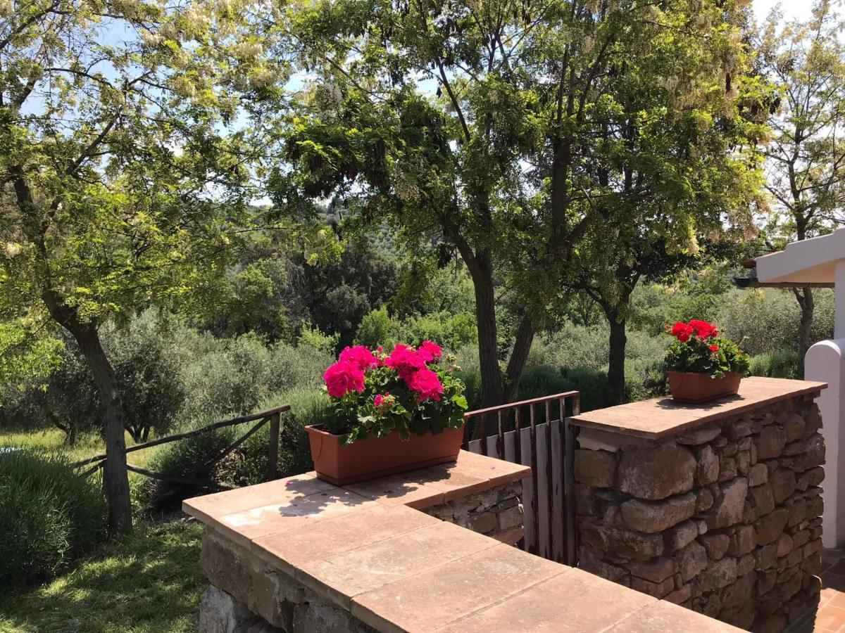 Tenuta Le Mandorlaie, Agriturismo In Scansano Eksteriør billede