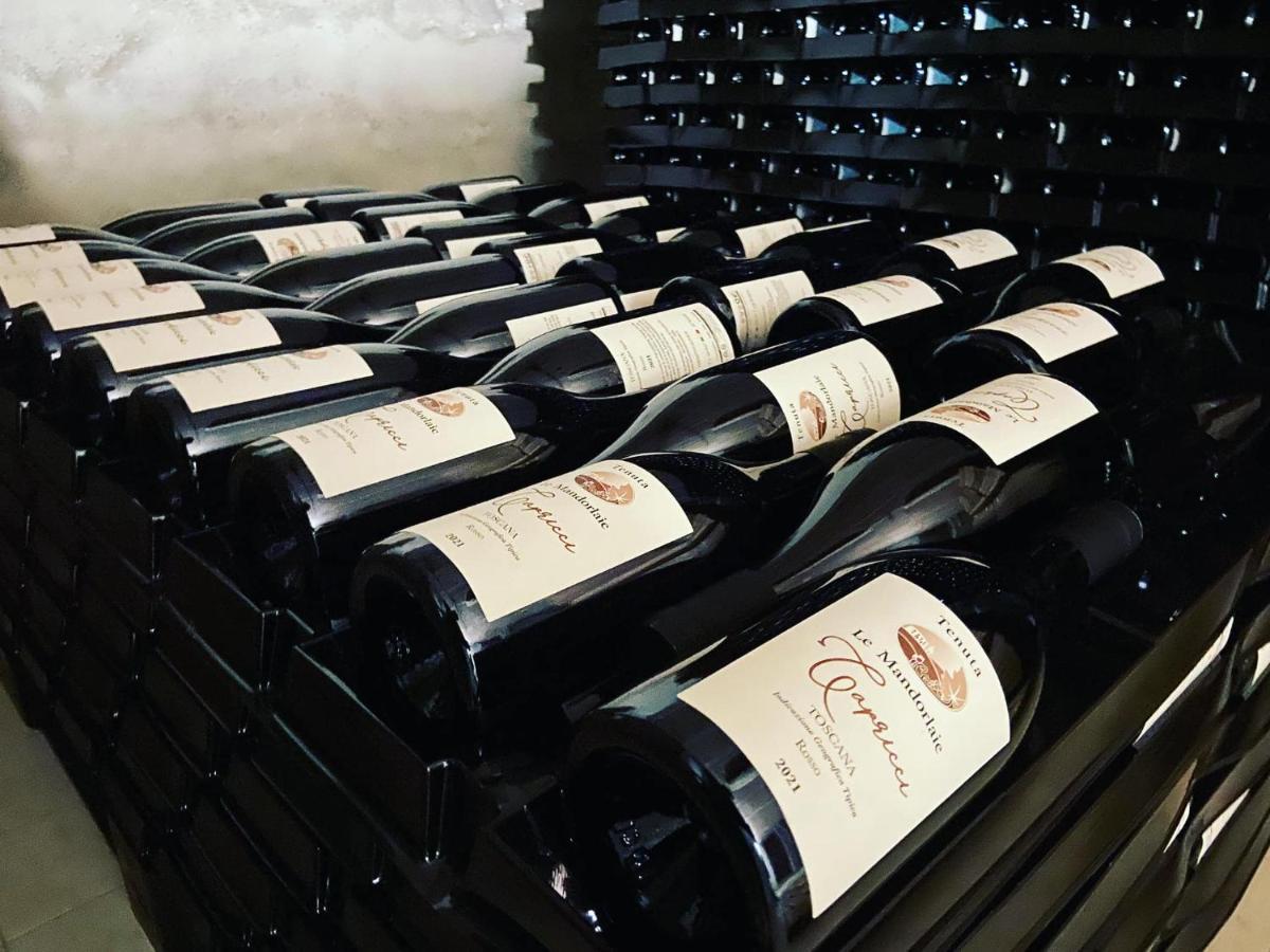 Tenuta Le Mandorlaie, Agriturismo In Scansano Eksteriør billede
