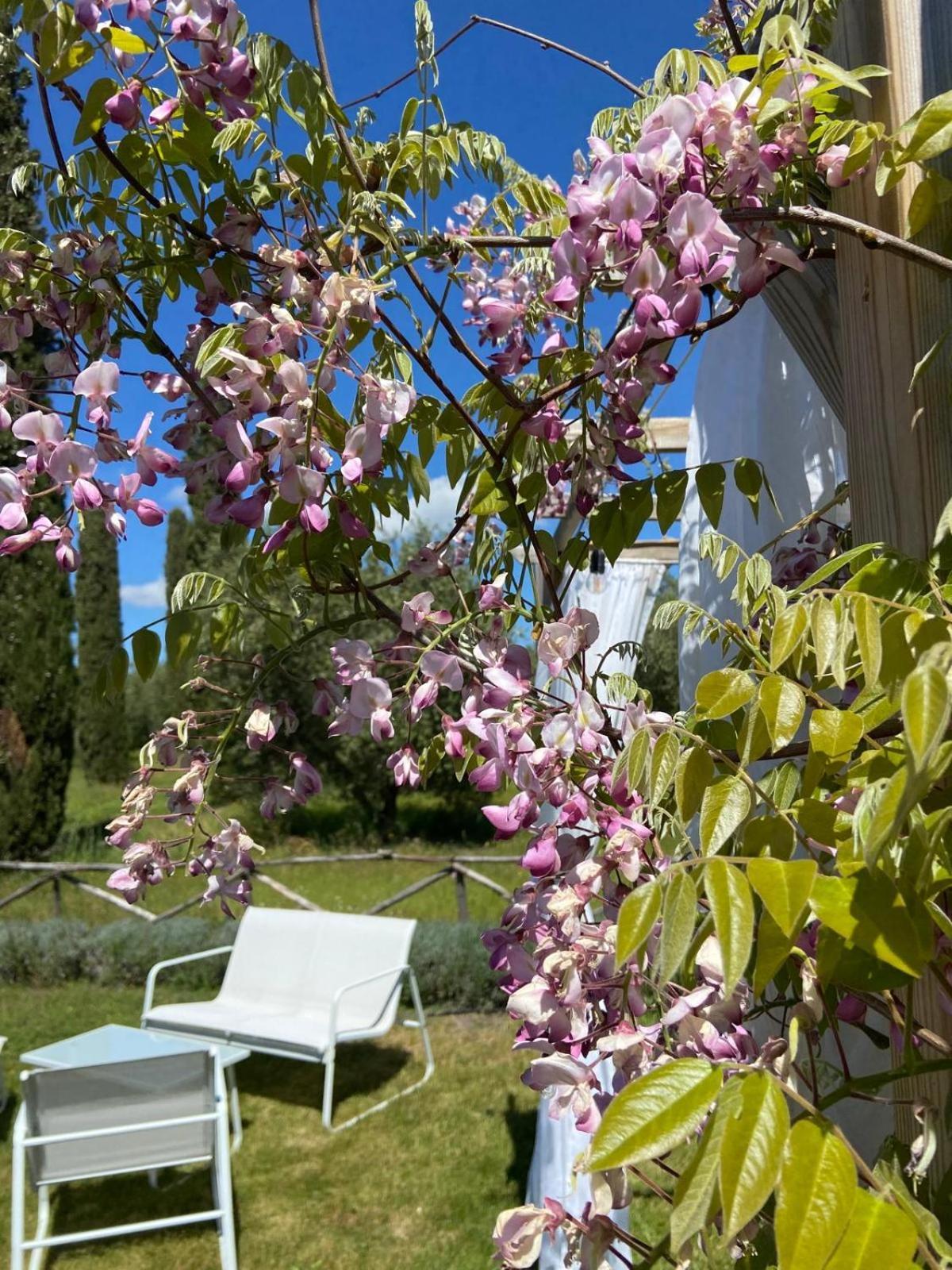 Tenuta Le Mandorlaie, Agriturismo In Scansano Eksteriør billede