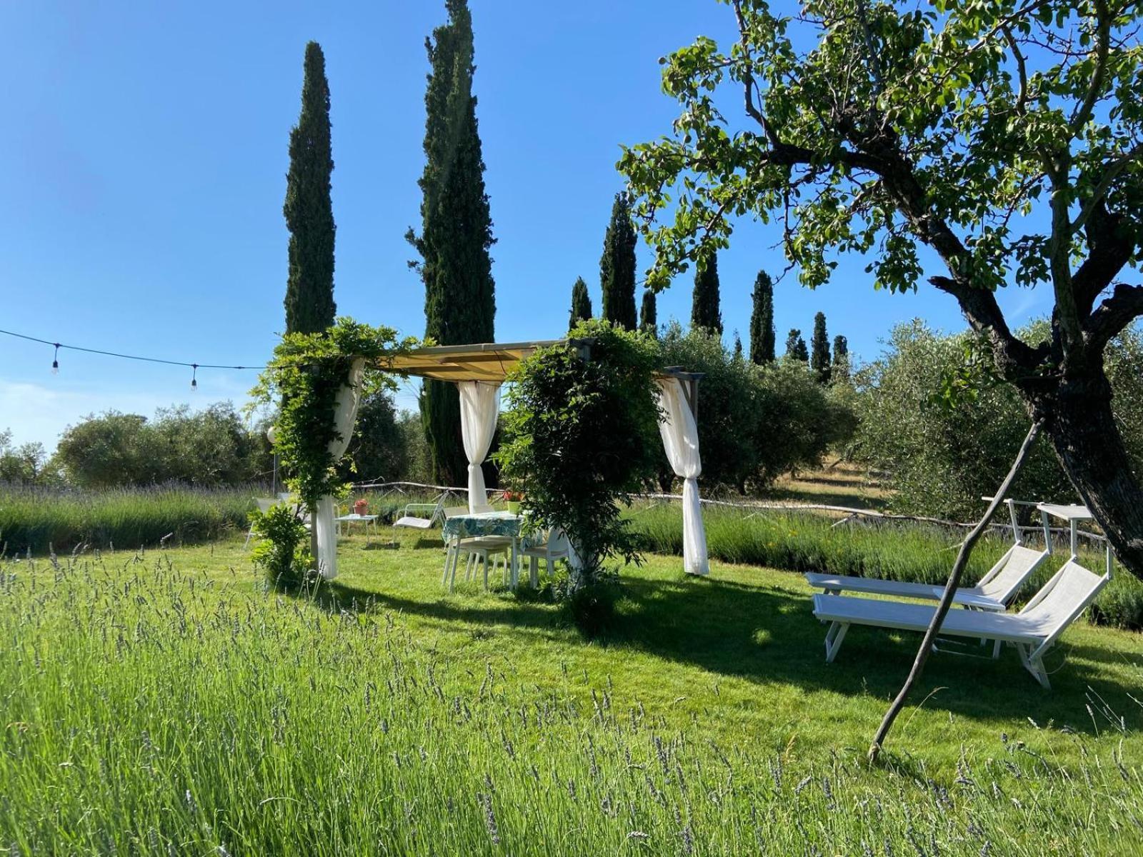 Tenuta Le Mandorlaie, Agriturismo In Scansano Eksteriør billede