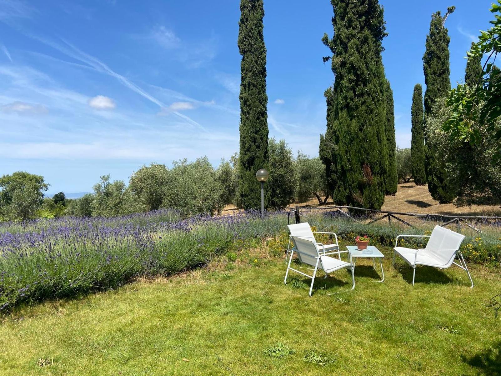 Tenuta Le Mandorlaie, Agriturismo In Scansano Eksteriør billede