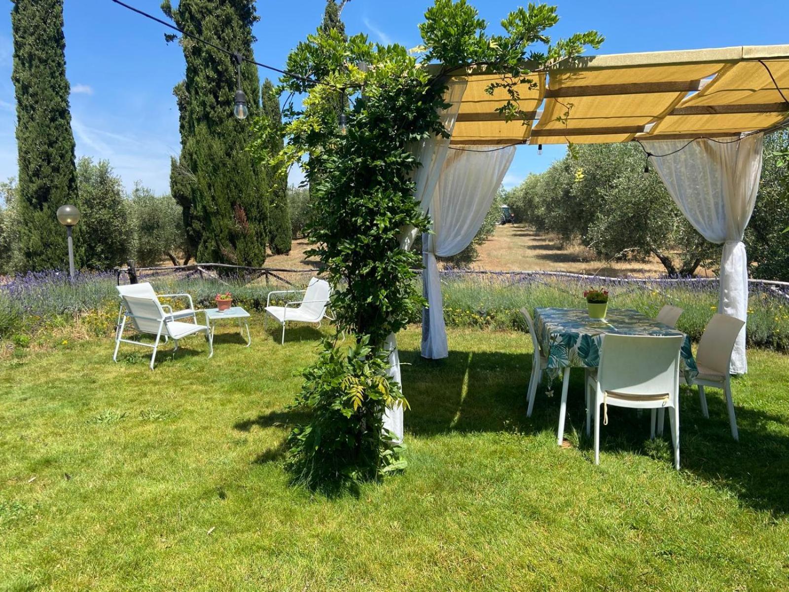 Tenuta Le Mandorlaie, Agriturismo In Scansano Eksteriør billede