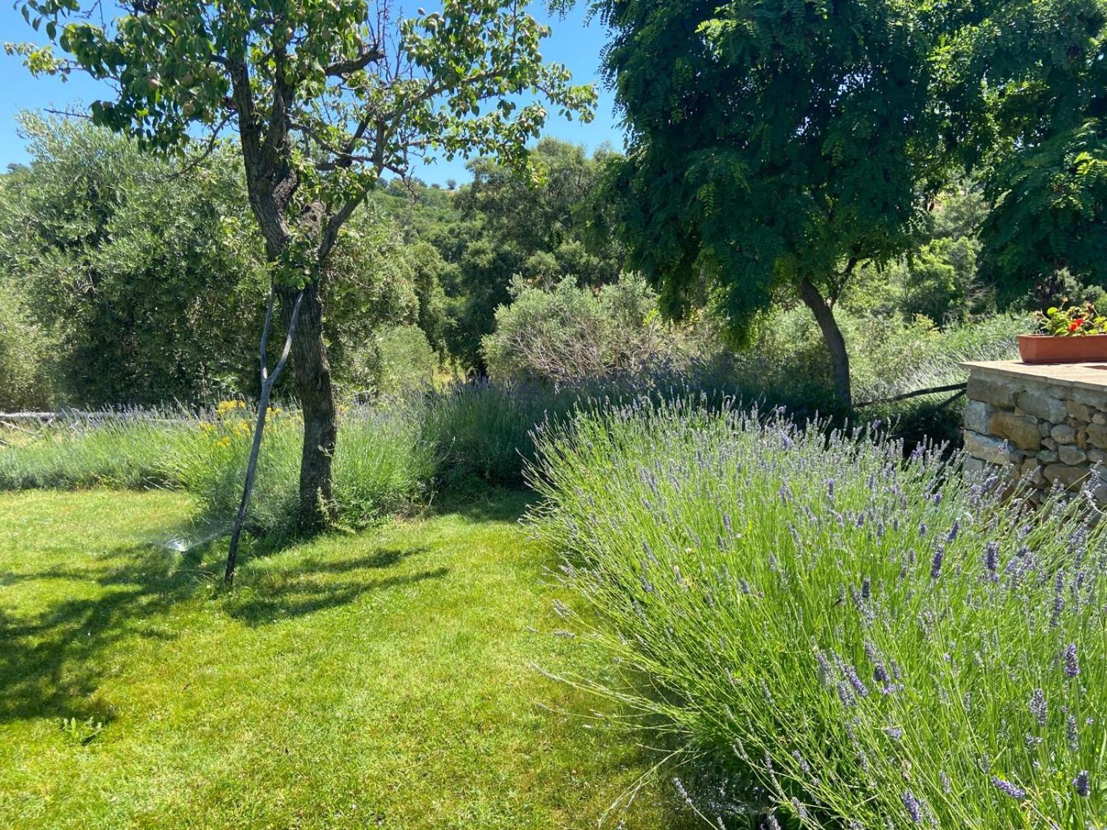 Tenuta Le Mandorlaie, Agriturismo In Scansano Eksteriør billede
