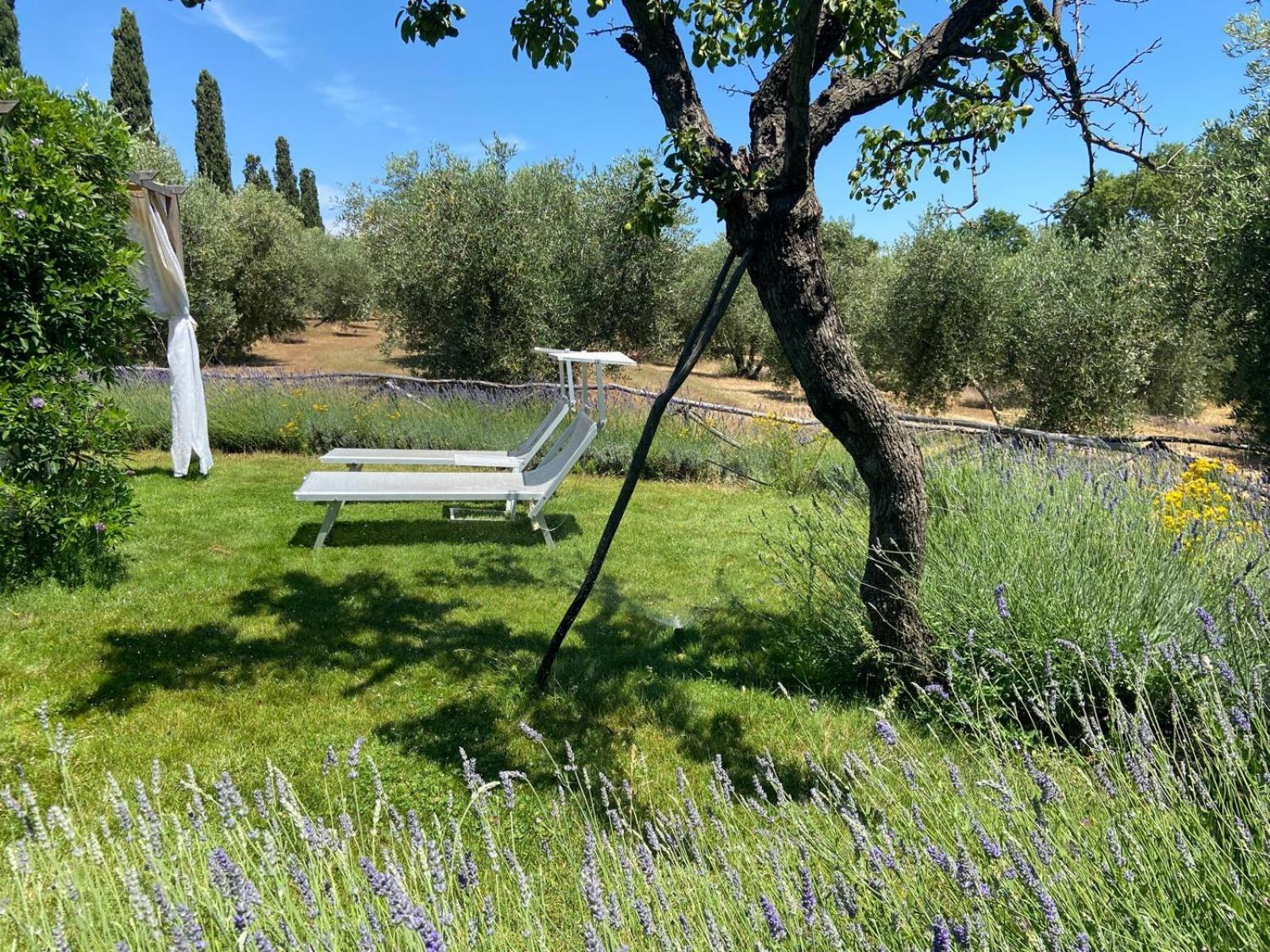 Tenuta Le Mandorlaie, Agriturismo In Scansano Eksteriør billede
